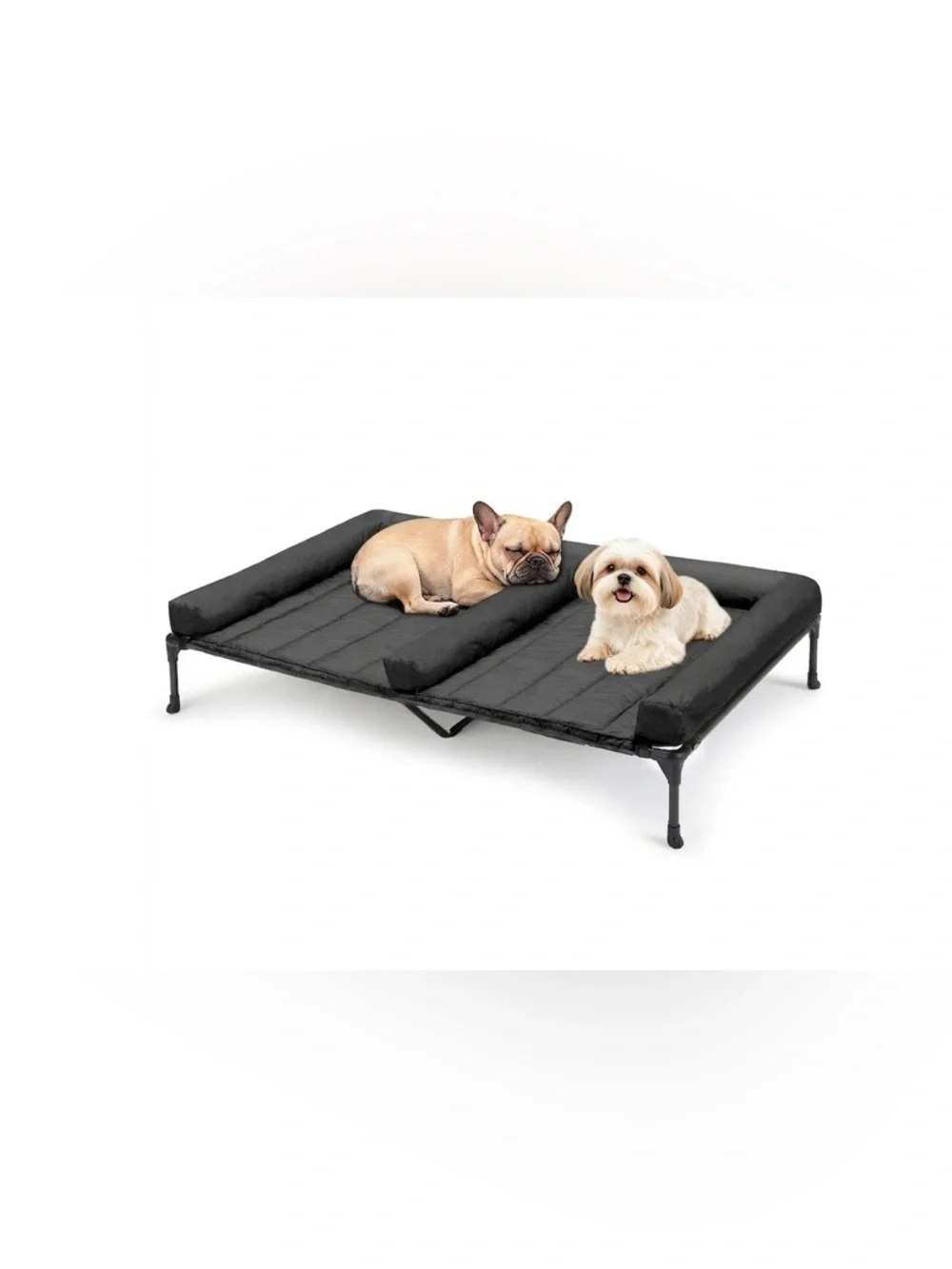 Elevated Dog Bed For Two Dogs